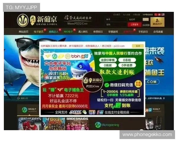 新葡京app手机登录遇到问题怎么办？详细解决方案与操作技巧