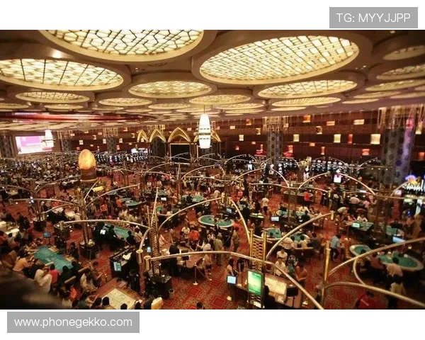 新葡京娱乐网娱乐app安全可靠，提供多样化的游戏选择和优质的客户服务保障用户娱乐无忧