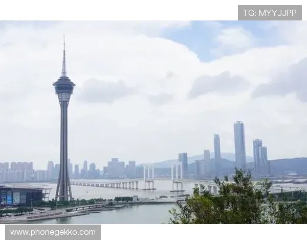 澳门新葡京国际入口全天候服务，支持多设备多平台登录体验