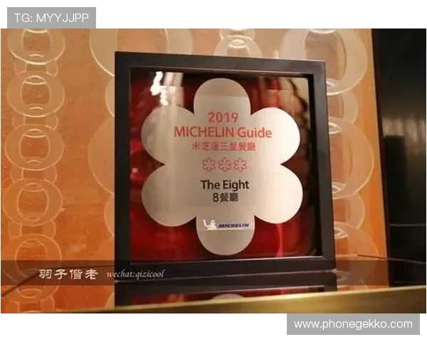 澳门新葡京在线登录入口详细指南，帮助新手快速顺利登录平台