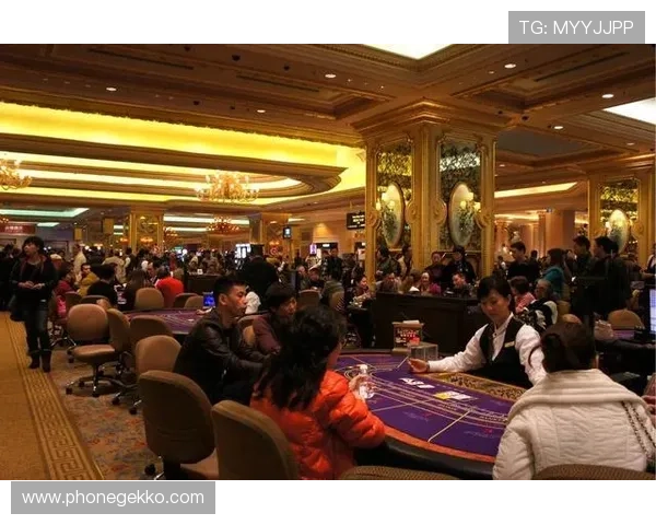 澳门皇家赌场网站提供专业客服全天在线，及时解答玩家疑问，确保每一位客户都能获得贴心服务